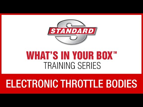 Electronic Throttle Bodies | Standard WIYB Training Series