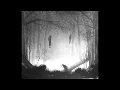 Cilingo - Aokigahara ( La foresta dei suicidi)