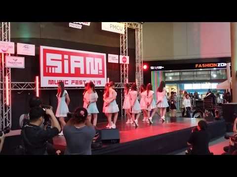 Daisy Daisy : Daisy Daisy @ Siam Music Fest 2019【4K】