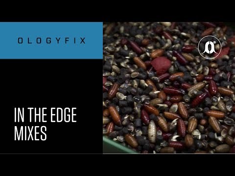 CARPologyTV - How to make 'in the edge' mixes