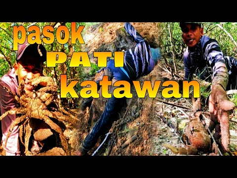 EP551:PART1-KUYA PARTS NAPALABAN SA PAGKUHA NG KURAY