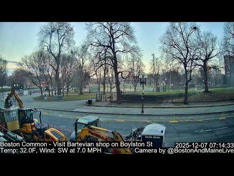Boston Common / Boylston St thumbnail