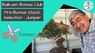 Download Lagu Pre-Bonsai Stock Selection - Juniper - Technique - Baikoen Bonsai Club - Safer @ Home Series Thumbnail