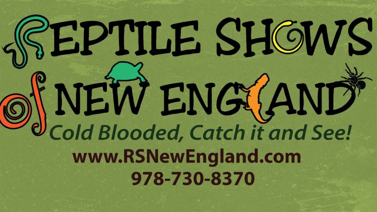 Promotional video thumbnail 1 for Reptile Shows of New England