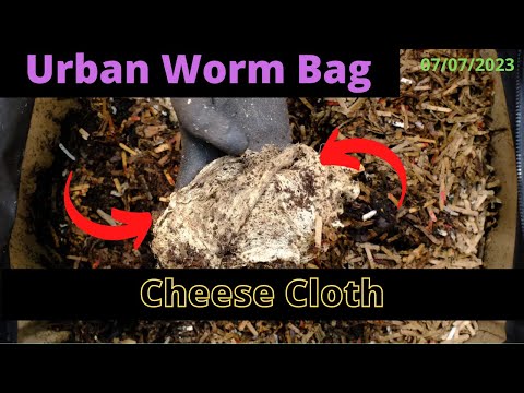 Urban Worm Bag V2 with ENCs - Healthy Worms 07/07/2023
