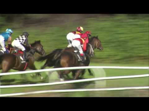 2015.09.19 Skandinavisk Grand Prix (DEN) - Inaya