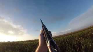 preview picture of video 'Day 2 El Campo, TX Dove Hunt 2014'