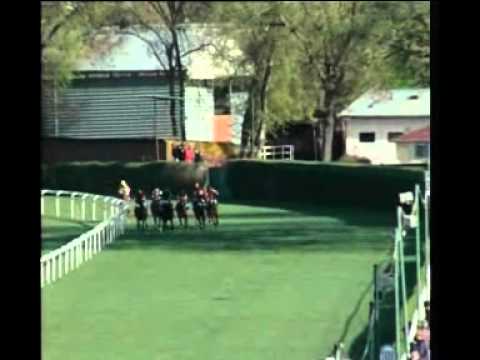 alfkona, Memoriál Josefa Břečku, www.rosivalracing.com