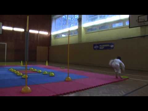 Vzorová ukážka Karate agility   veková kategória 8, 9, 10 a 11 roční
