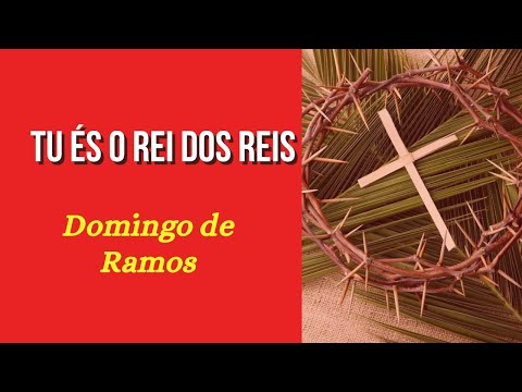 O amor é a tua lei - Católica