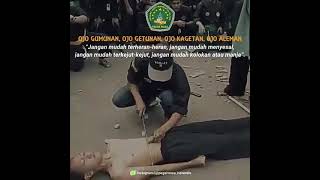 Download lagu STORY ATRAKSI PAGAR NUSA mp3
