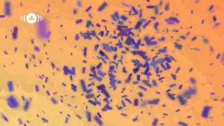 Maher Zain   Masha Allah Arabic Version)   Official Lyric Video.) 1080 Hd&#39;