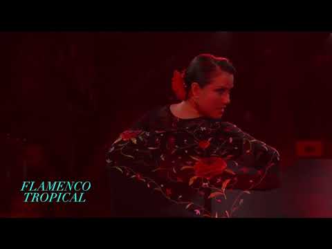 Flamenco Tropical Performance