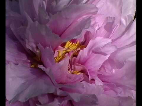 Video thumbnail for Falling Through Your Clothes