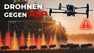 Drohnen gegen die Afrikanische Schweinepest? So Funktionierts wirklich!