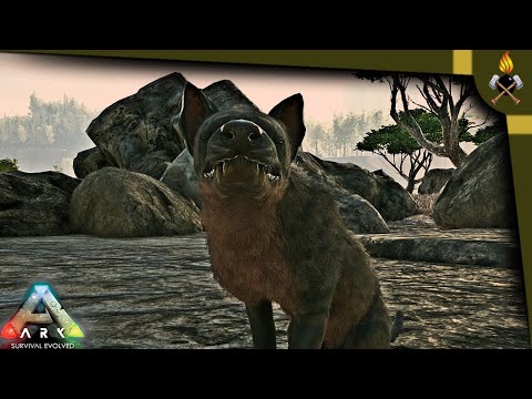 ARK How to tame:  Hyaenodon