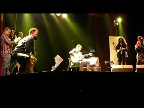 Diego del Morao por Bulerías con el Piraña, Israel Fernandez y la Fabi