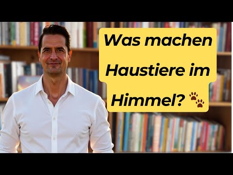 What do pets DO in heaven? What REALLY happens in the animal afterlife.