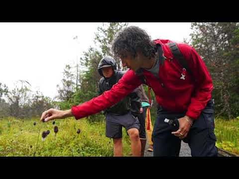 Tongass National Forest Guided Hike - Sitka, Alaska