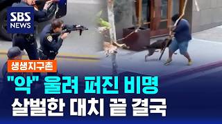 악 울려 퍼진 비명..살벌한 대치 끝 결국 / SBS / 생생지구촌