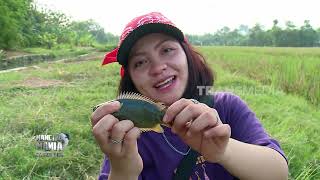 Download lagu Sensasi Mancing Ikan Betok Dengan Umpan Jangkrik | MANCING MANIA STRIKE BACK (11/04/26) Part 2 mp3
