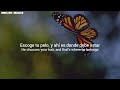 Scott Walker - Butterfly (Lyrics/Subtitulado al español)