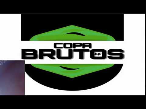 FINAL DA COPA BRUTOS