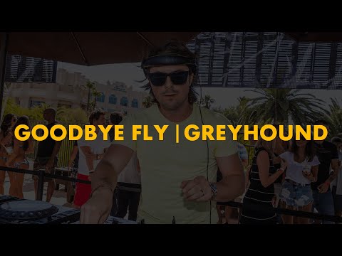 Goodbye Fly | Greyhound (Axwell Mashup)