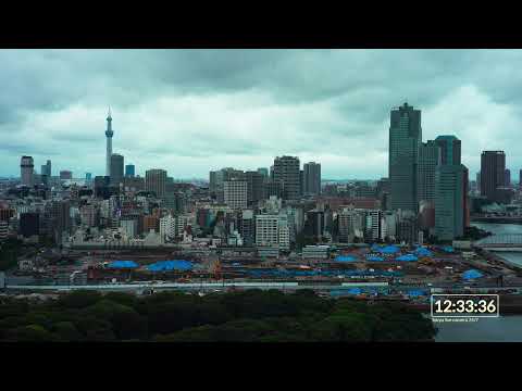 スカイツリーと築地方面のライブカメラ映像