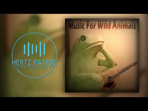 Steve Miller Band   Fly Like An Eagle   432hz