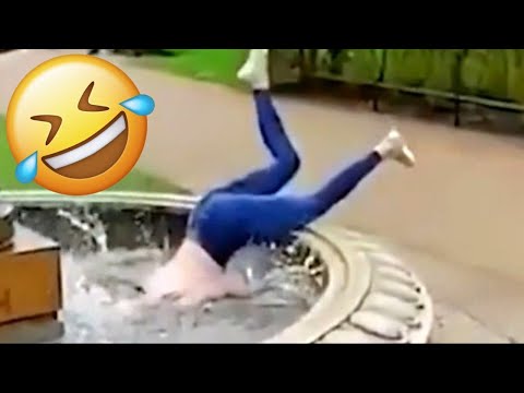 Incearca sa nu razi 😄 faze comice tari 😄 Dorel 😄 pisici amuzante 😄 mori de ras 😄 citeste descrierea