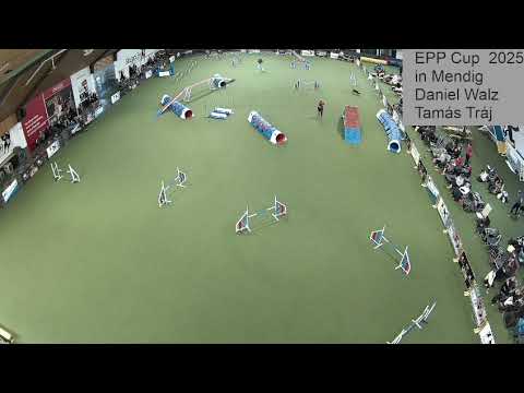 Swipe - EPP Cup - 3rd  Place A3 - 19/10/2025 Judges Daniel Walz and Tamas Traj