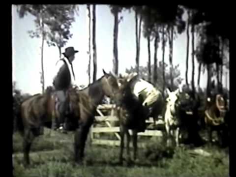 Pára Pedro - Filme Completo de José Mendes (Imagem HD)