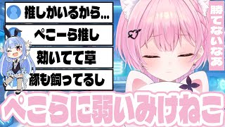 兎田ぺこらの話題になると急激に弱くなるみけねこ【 みけねこ | 切り抜き | Twitch 】【2026/02/01】