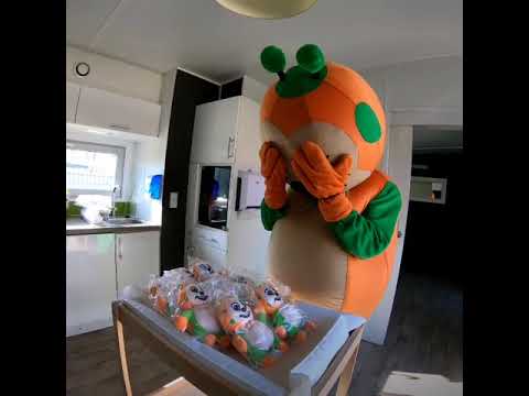 Les conseils de Sunny - Sunêlia le Fief