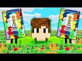 COMPLETEI O ALBUM DE FIGURINHAS DA COPA DO MUNDO no MINECRAFT!