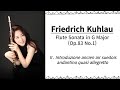 Friedrich Kuhlau - Sonata in G Major Op.83 No.1 - II. Introduzione ancien air suedois... #플루트 윤현임