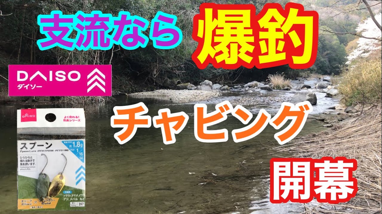 支流なら爆釣なチャビング開幕 矢作川水系 ダイソーレンジャー ダイソースプーン カワムツ釣り