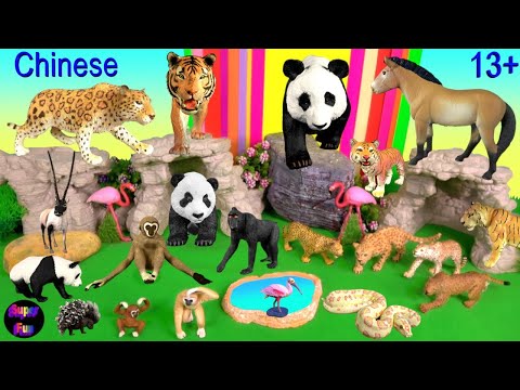 , title : 'Chinese Animals - NEW Panda, Tiger, Leopard, Gibbon, Chiru, Python, Przewalski’s Horse 13+'