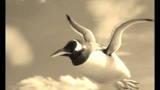 Prop Dylan - Flying Penguin