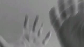 Cerati - Paisaje porcelana - + bien