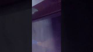 雪積もってる！