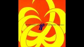 Antipop Consortium  - Tuff gong