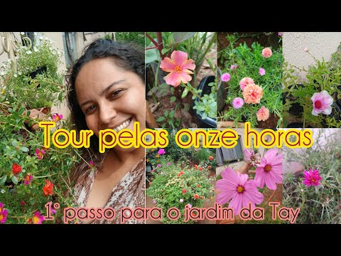 TOUR NO QUINTAL | ONZE HORAS E PORTULACAS | COMEÇANDO O JARDIM DO ZERO