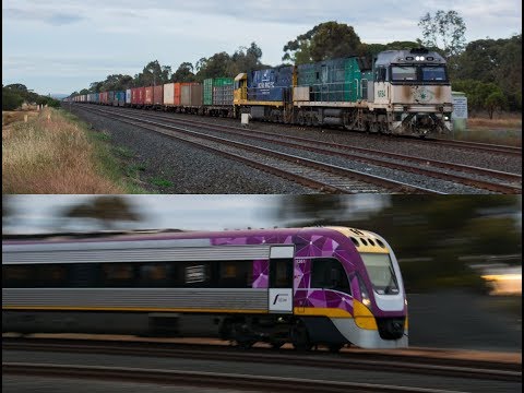 Morning Peak Trains at Plains Road- Lara 9/11/18