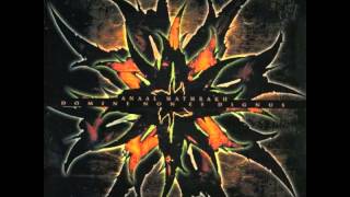 Anaal Nathrakh - Rage, Rage Against The Dying Of The Light