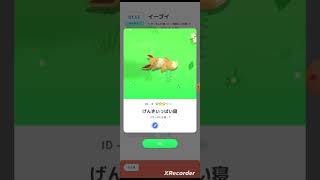 イーブイワイ
