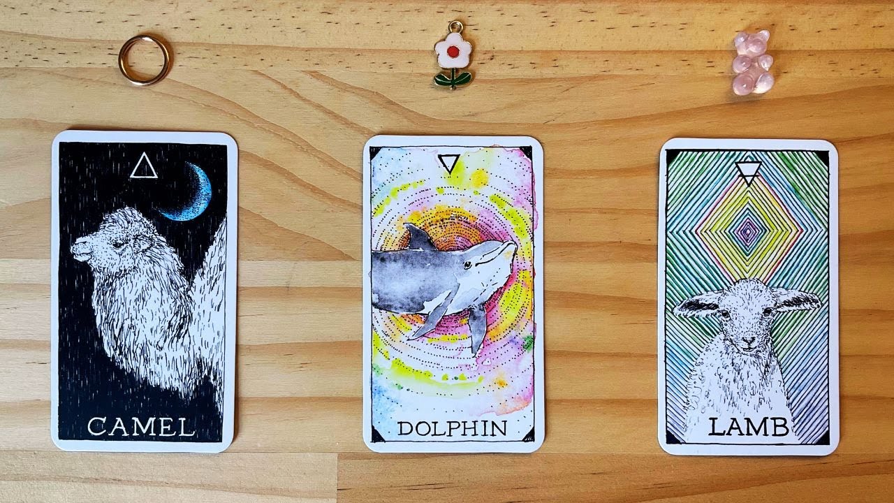 🐬🩵 YOU ARE READY TO HEAR THIS MESSAGE 🩵 FROM YOUR SPIRIT ANIMAL !! 🩵🐬 tarot  card reading🌿timeless🌿