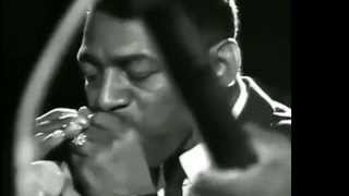 Little Walter -  Mean Old World