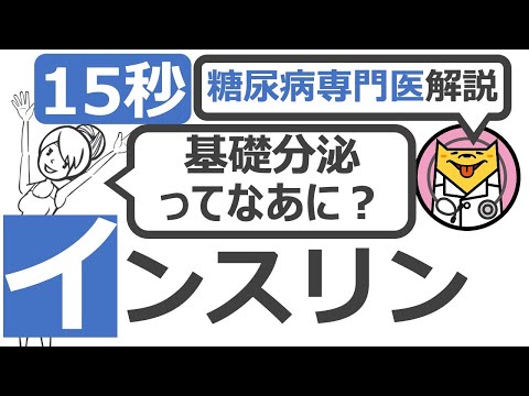 基礎インスリンの高低 – 基礎インスリンとは何か、症状、検査、ヒント